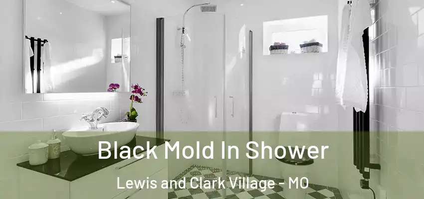  Black Mold In Shower Lewis and Clark Village - MO
