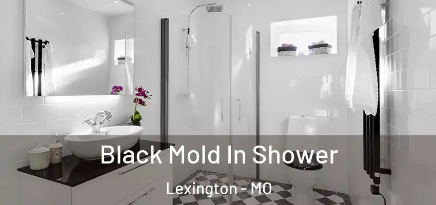  Black Mold In Shower Lexington - MO