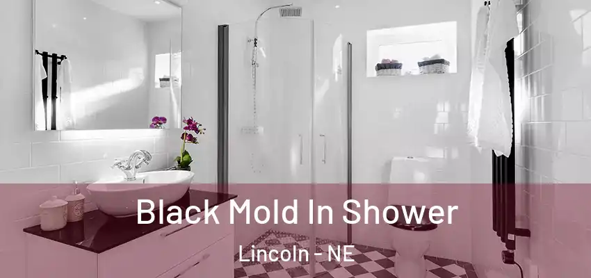  Black Mold In Shower Lincoln - NE