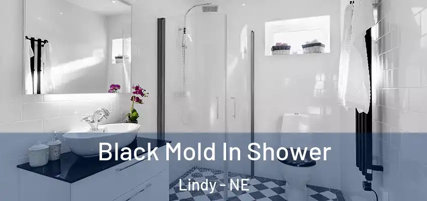 Black Mold In Shower Lindy - NE