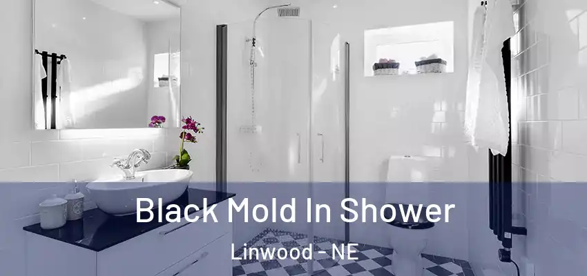 Black Mold In Shower Linwood - NE