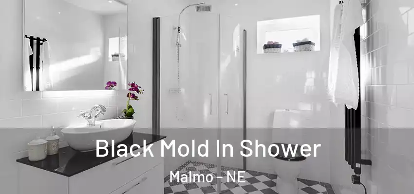  Black Mold In Shower Malmo - NE