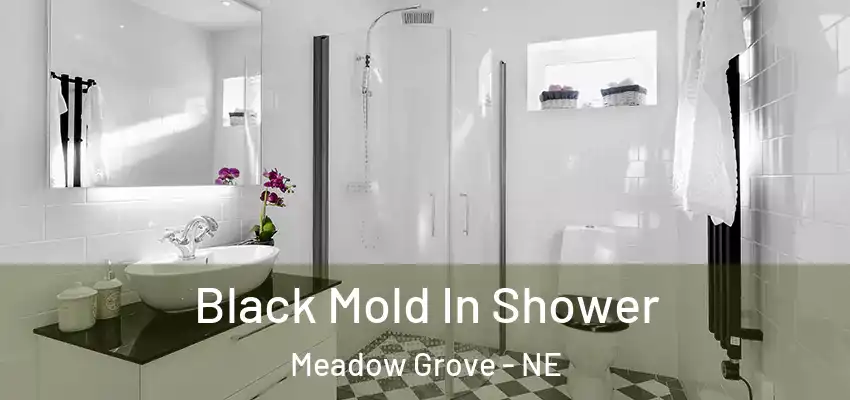  Black Mold In Shower Meadow Grove - NE