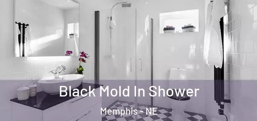  Black Mold In Shower Memphis - NE
