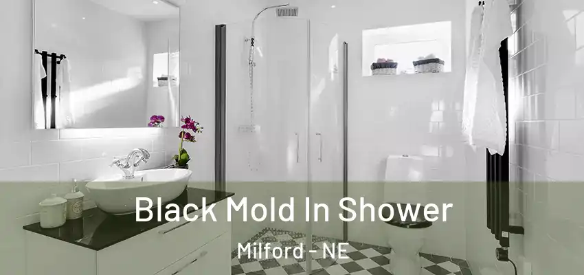  Black Mold In Shower Milford - NE