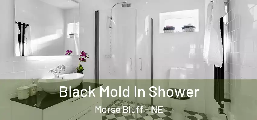  Black Mold In Shower Morse Bluff - NE
