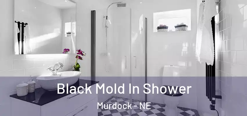  Black Mold In Shower Murdock - NE