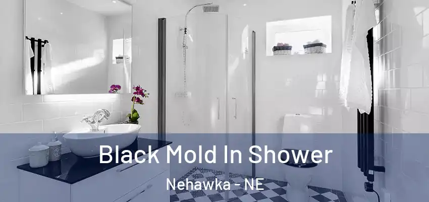 Black Mold In Shower Nehawka - NE