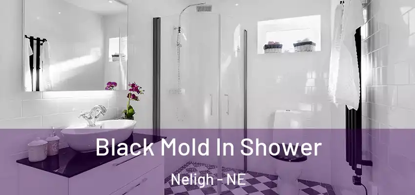  Black Mold In Shower Neligh - NE