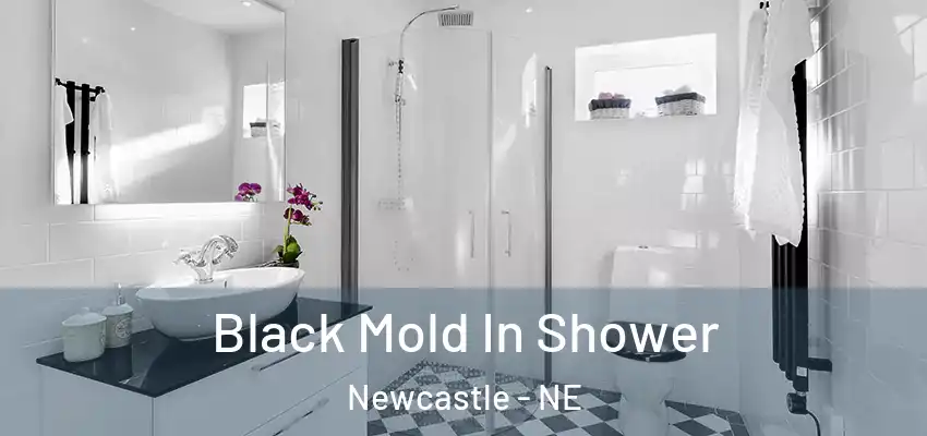  Black Mold In Shower Newcastle - NE