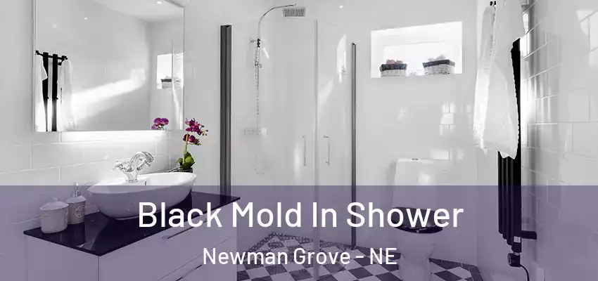 Black Mold In Shower Newman Grove - NE