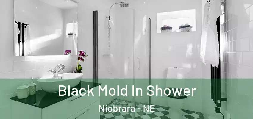 Black Mold In Shower Niobrara - NE