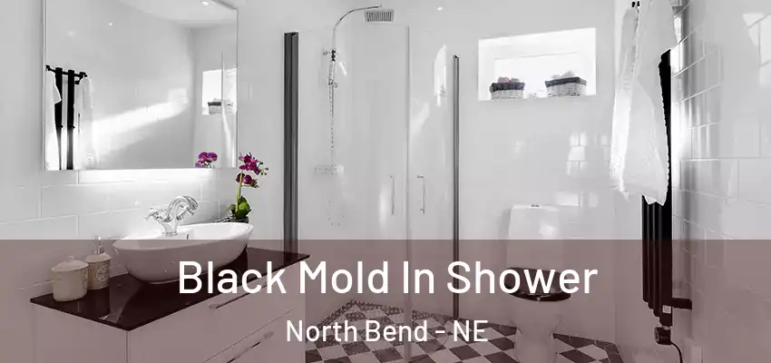  Black Mold In Shower North Bend - NE
