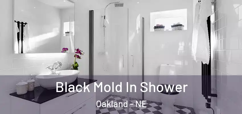 Black Mold In Shower Oakland - NE