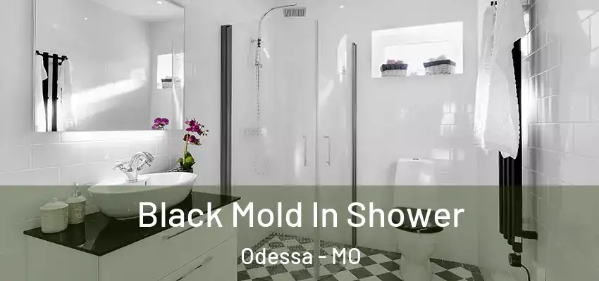  Black Mold In Shower Odessa - MO