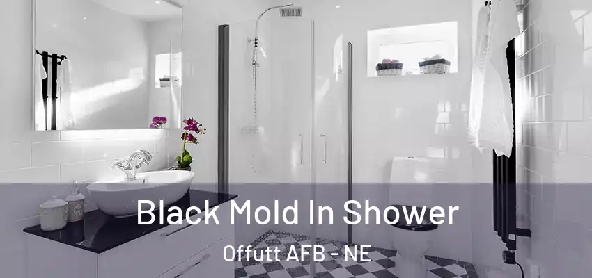  Black Mold In Shower Offutt AFB - NE