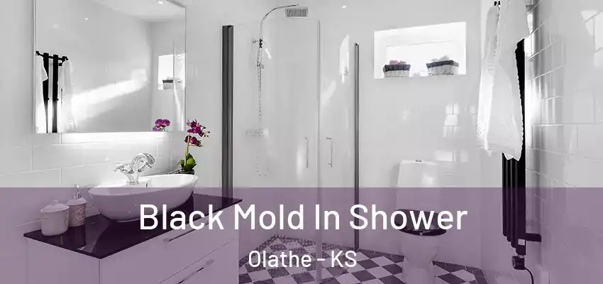Black Mold In Shower Olathe - KS