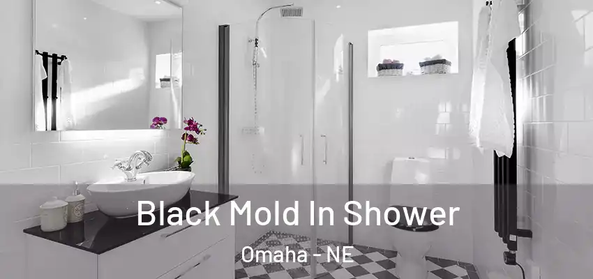  Black Mold In Shower Omaha - NE