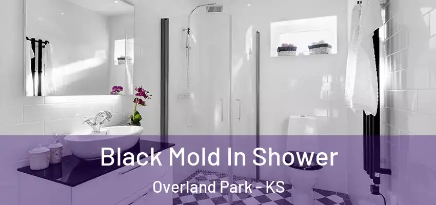 Black Mold In Shower Overland Park - KS