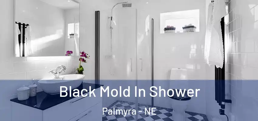  Black Mold In Shower Palmyra - NE