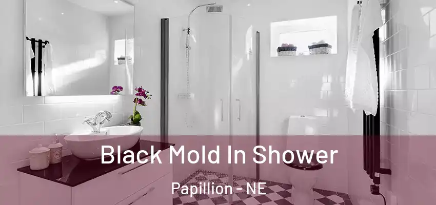  Black Mold In Shower Papillion - NE