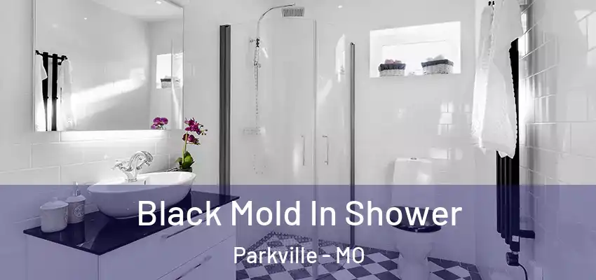  Black Mold In Shower Parkville - MO