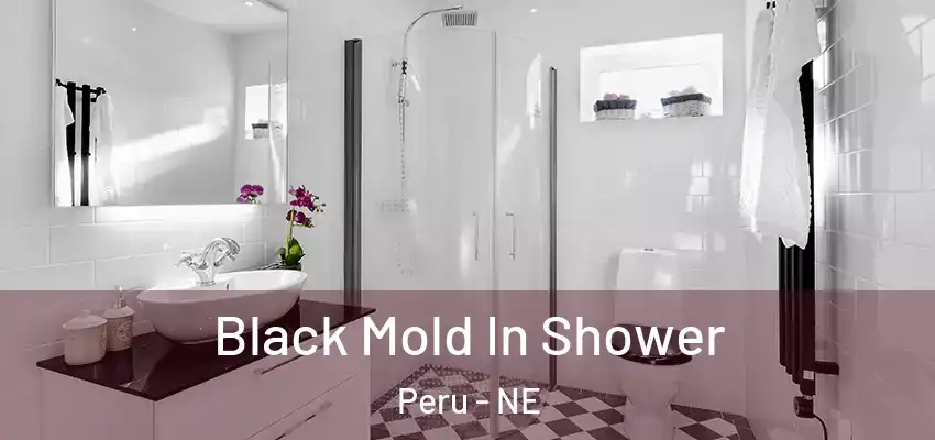  Black Mold In Shower Peru - NE
