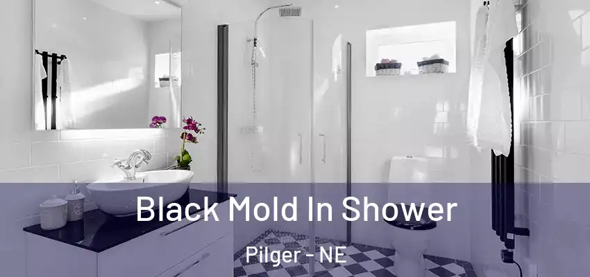  Black Mold In Shower Pilger - NE