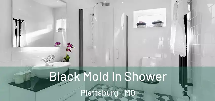  Black Mold In Shower Plattsburg - MO