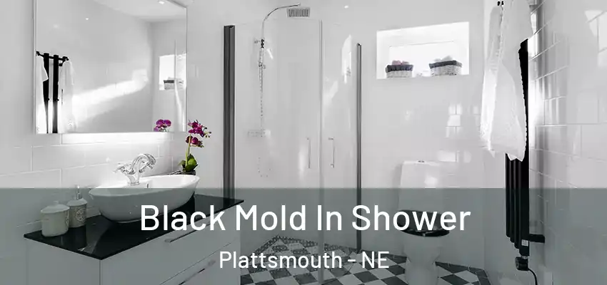 Black Mold In Shower Plattsmouth - NE