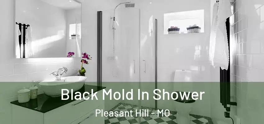  Black Mold In Shower Pleasant Hill - MO