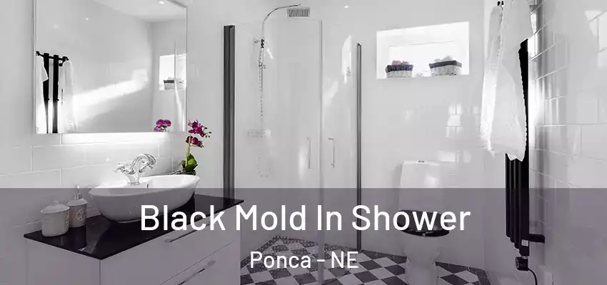  Black Mold In Shower Ponca - NE