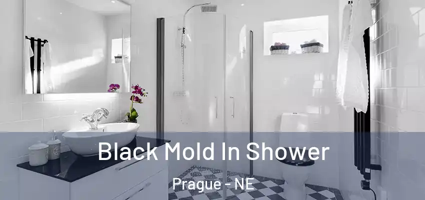  Black Mold In Shower Prague - NE
