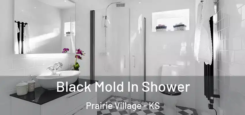  Black Mold In Shower Prairie Village - KS
