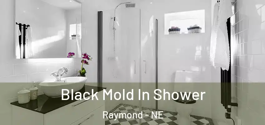  Black Mold In Shower Raymond - NE
