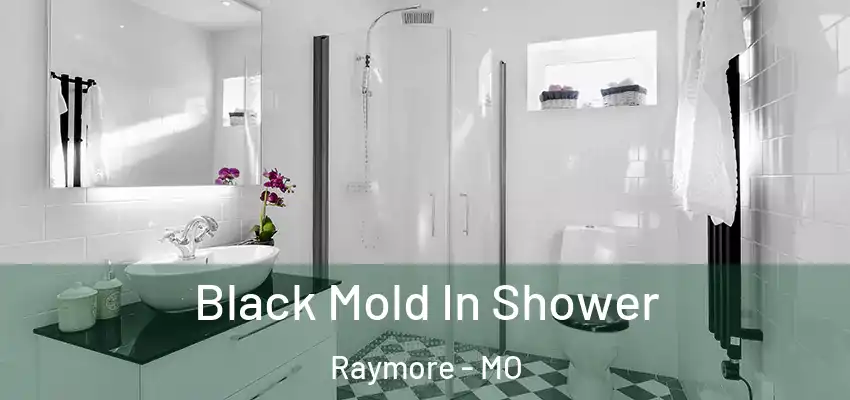 Black Mold In Shower Raymore - MO
