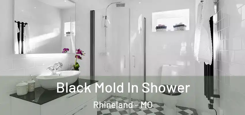 Black Mold In Shower Rhineland - MO
