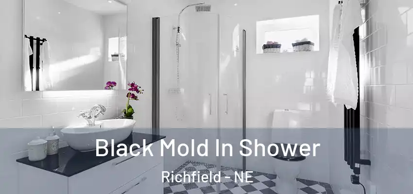  Black Mold In Shower Richfield - NE