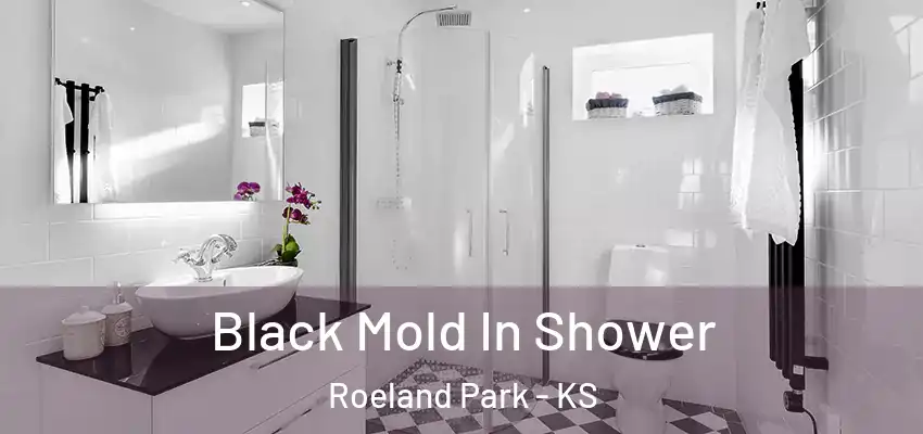  Black Mold In Shower Roeland Park - KS