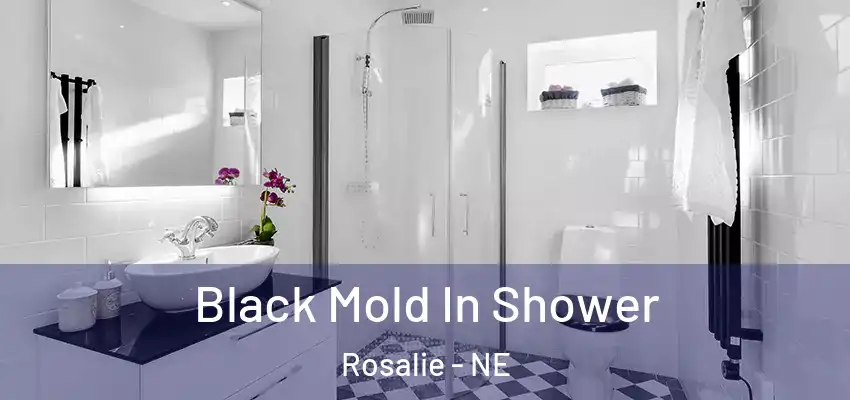 Black Mold In Shower Rosalie - NE