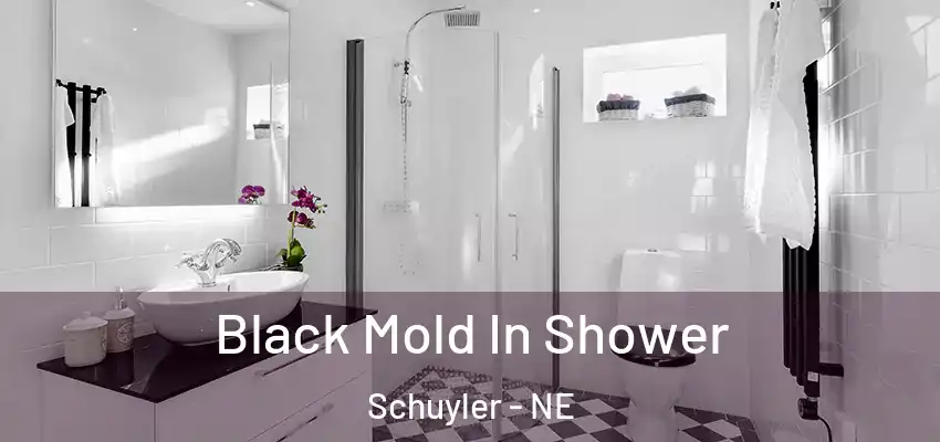  Black Mold In Shower Schuyler - NE