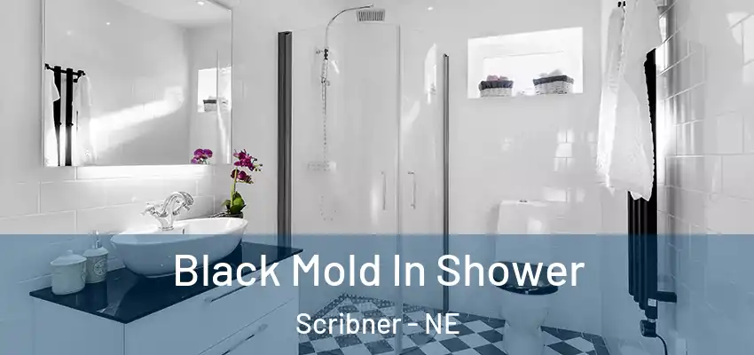 Black Mold In Shower Scribner - NE