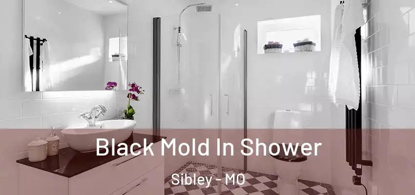  Black Mold In Shower Sibley - MO