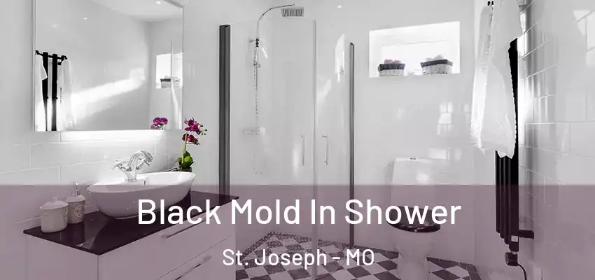  Black Mold In Shower St. Joseph - MO