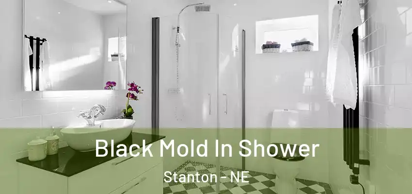  Black Mold In Shower Stanton - NE