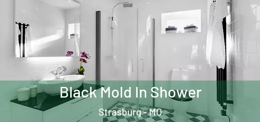  Black Mold In Shower Strasburg - MO