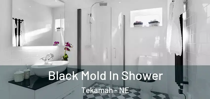  Black Mold In Shower Tekamah - NE