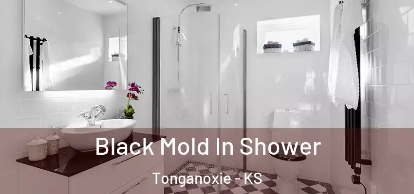 Black Mold In Shower Tonganoxie - KS