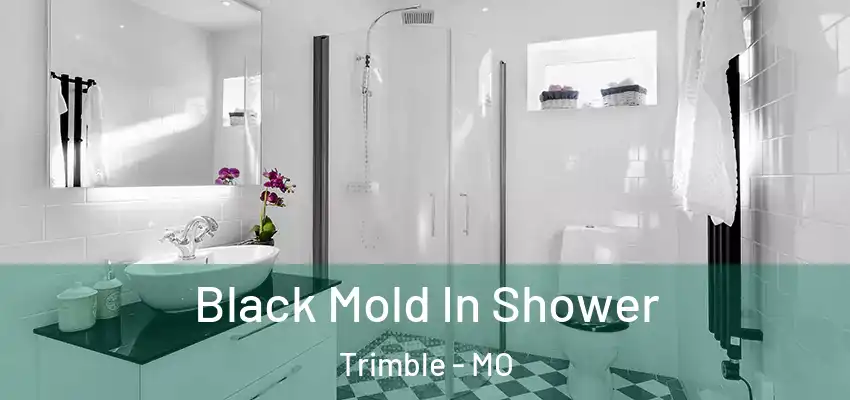  Black Mold In Shower Trimble - MO