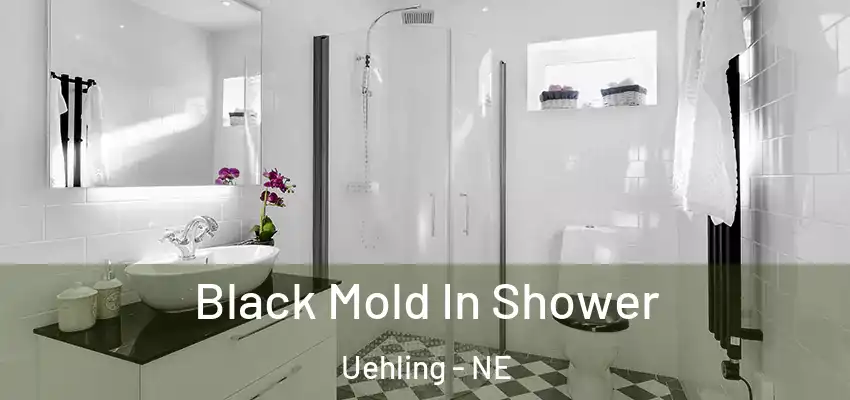  Black Mold In Shower Uehling - NE